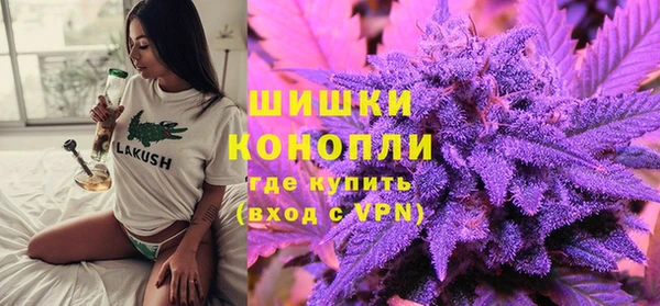 ГАЛЛЮЦИНОГЕННЫЕ ГРИБЫ Богданович