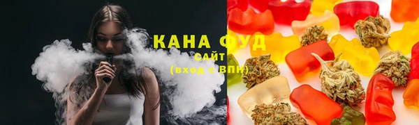 ГАЛЛЮЦИНОГЕННЫЕ ГРИБЫ Богданович