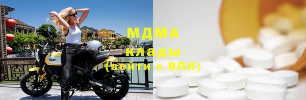 ГАЛЛЮЦИНОГЕННЫЕ ГРИБЫ Богданович
