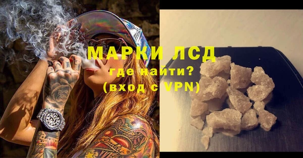 ГАЛЛЮЦИНОГЕННЫЕ ГРИБЫ Богданович