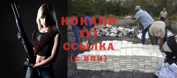 ГАЛЛЮЦИНОГЕННЫЕ ГРИБЫ Богданович