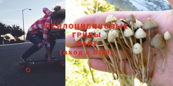 ГАЛЛЮЦИНОГЕННЫЕ ГРИБЫ Богданович