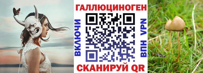 Псилоцибиновые грибы мухоморы  OMG сайт  Екатеринбург  магазин   